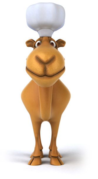 有趣的骆驼图片下载