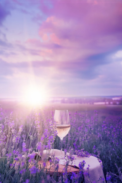 淡紫色的酒杯图片下载