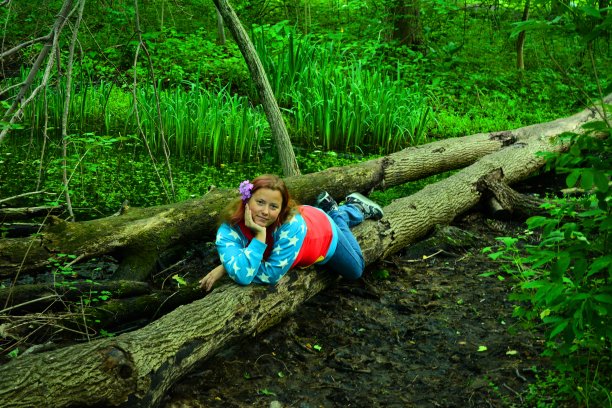 森林之美图片下载