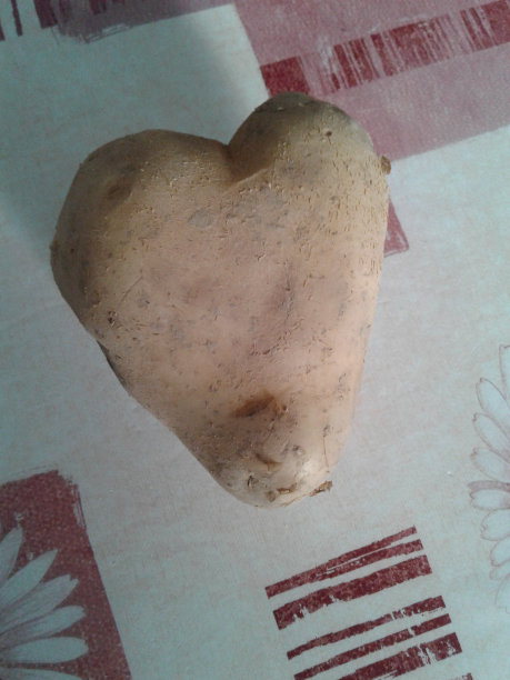 土豆心图片下载