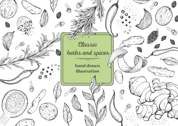 香料和药草俯视图框架。图片下载