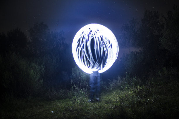 在夜晚照亮森林中的球体图片下载