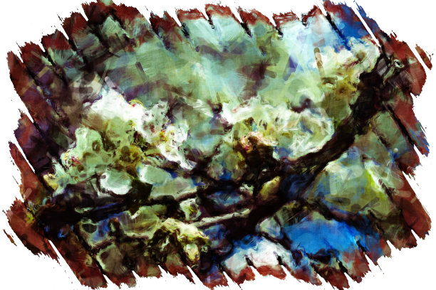 花卉素描照片图片下载