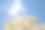 美丽的白玉兰花在蓝天的背景。图片下载