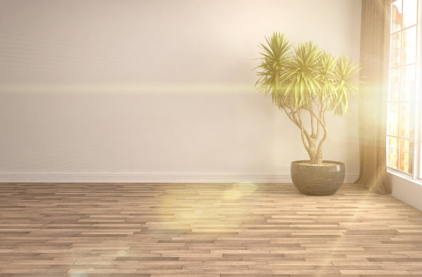 内部有大窗户。三维演示图片下载