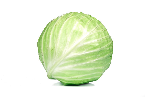 卷心菜饼孤立图片下载
