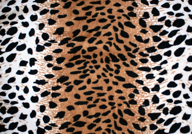 豹纹纹理图片下载