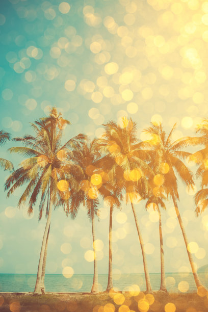 海边图片素材ID：141147772