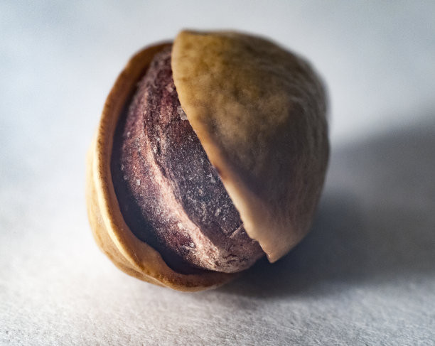 宏开心果图片下载