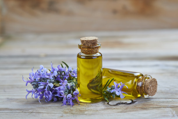 迷迭香精油图片下载