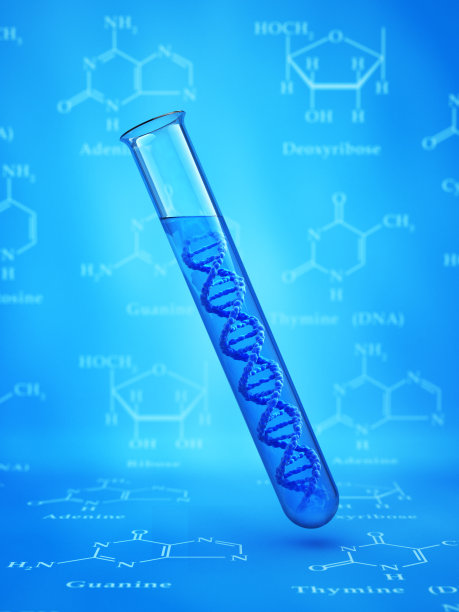 试管内的DNA模型。图片下载