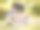 平板电脑图片素材ID：141192106