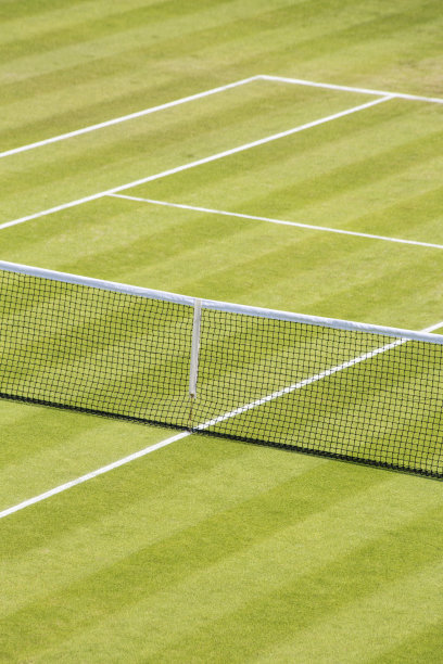 草地网球场图片下载