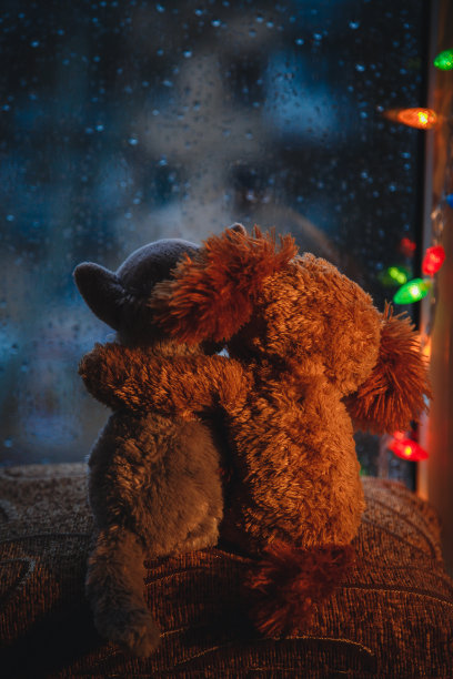 两个可爱的朋友猫狗玩具抱在一起坐在窗台上，看着窗外。外面下着雨。圣诞灯。图片下载