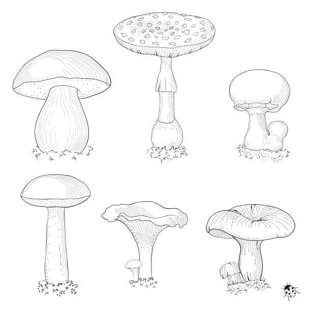 手绘蘑菇套装图片下载