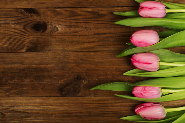 木质背景上的粉色郁金香。母亲节。春天的花朵图片下载