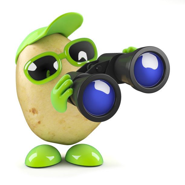 3 d土豆观察图片下载