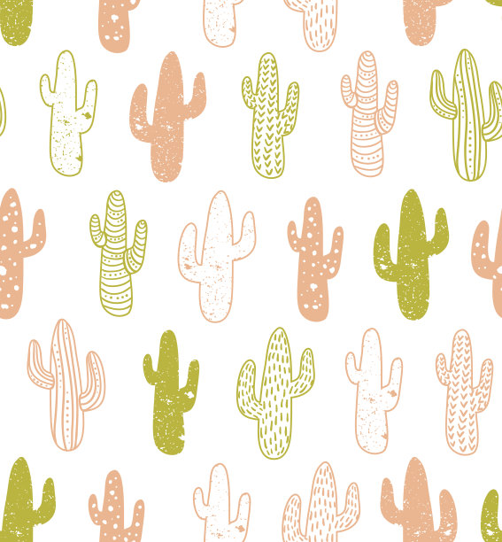 时髦的仙人掌无缝图案。仙人掌部落波西米亚的背景。图片下载