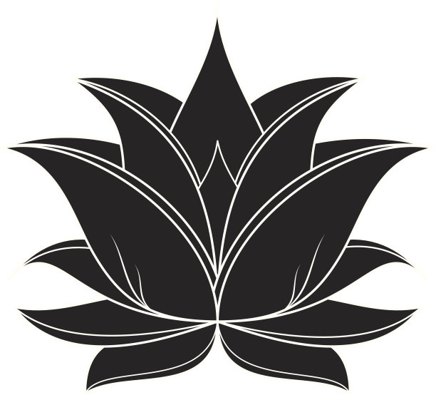 Lotus轮廓图片下载