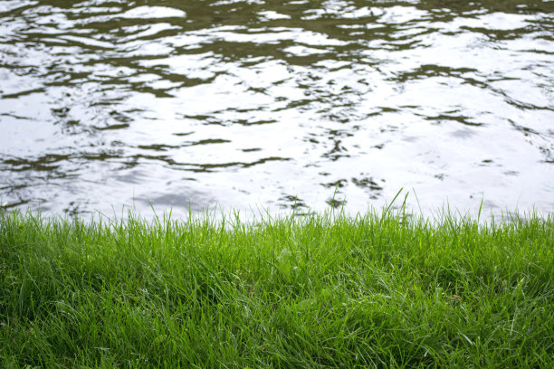 河的背景上的草图片下载