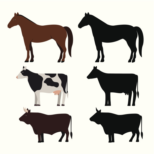 动物设计图片下载