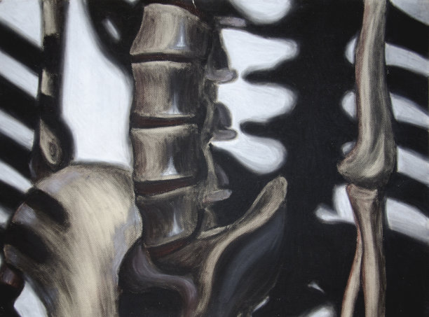 骨架的细节图片下载