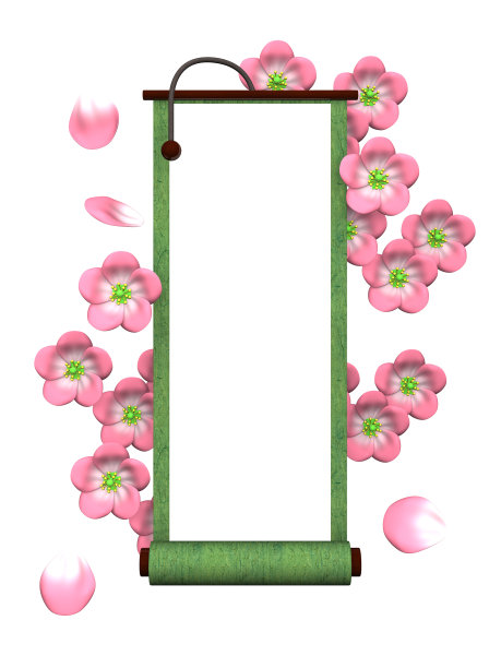 樱花和滚动在白色的背景图片下载