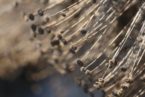 自然干燥图片下载