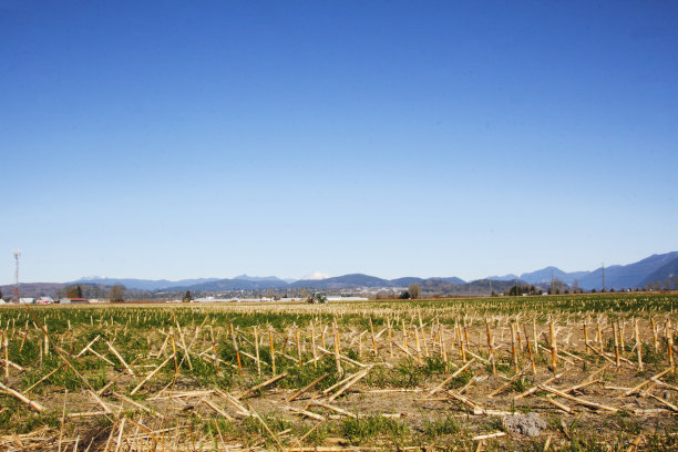 冬季农村农田图片下载