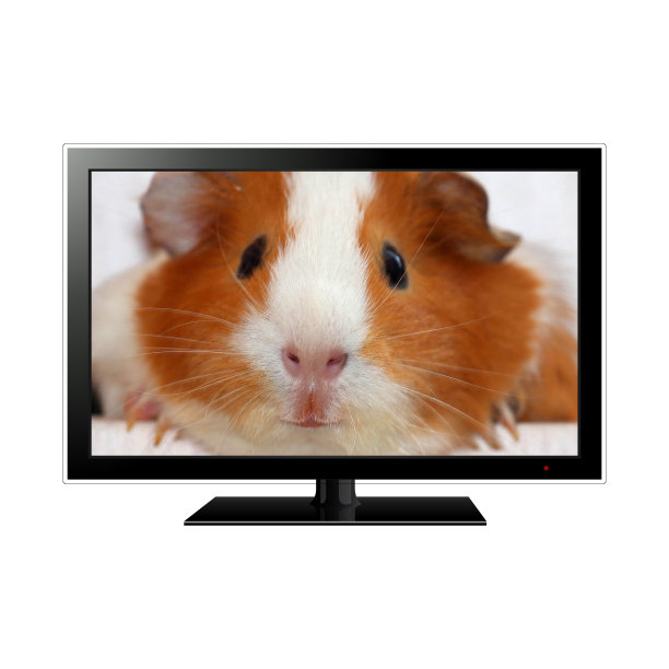 现代液晶显示器隔离白色图片下载