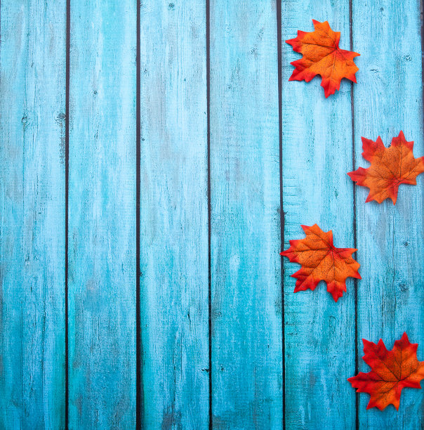 感恩节背景上色图片下载