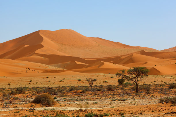 无尽的纳米布沙丘图片下载
