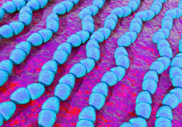 细菌图片素材ID：141398584