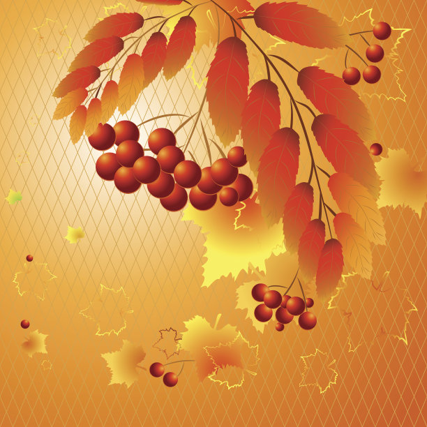 秋天罗文图片下载