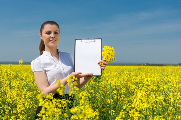 花圃里的女商人图片下载