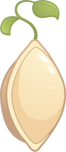 种子发芽图片下载