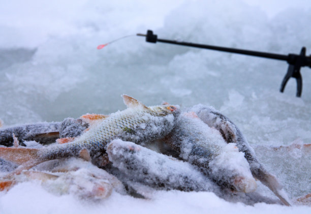 冬季钓鱼图片下载