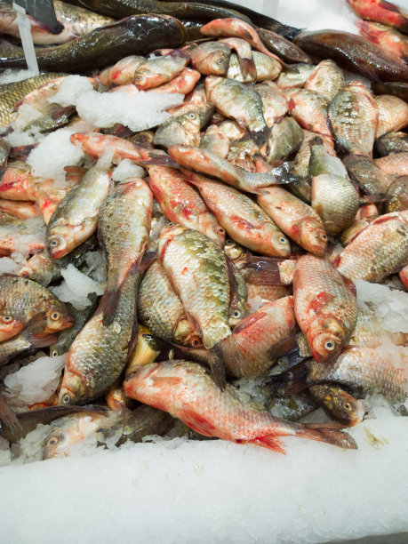 市场上的鱼。图片下载