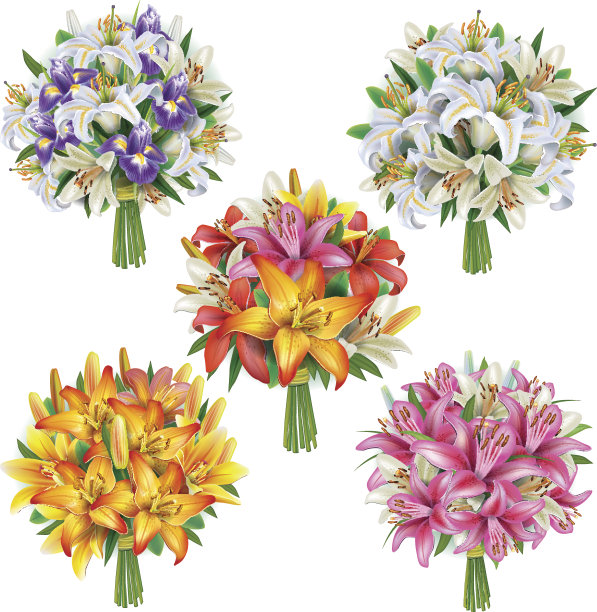 一组百合花束图片下载