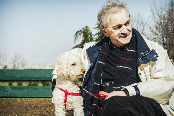 人和他的狗图片下载