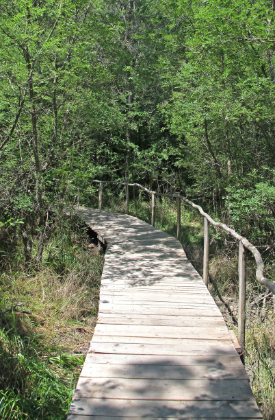 保加利亚的性质图片下载