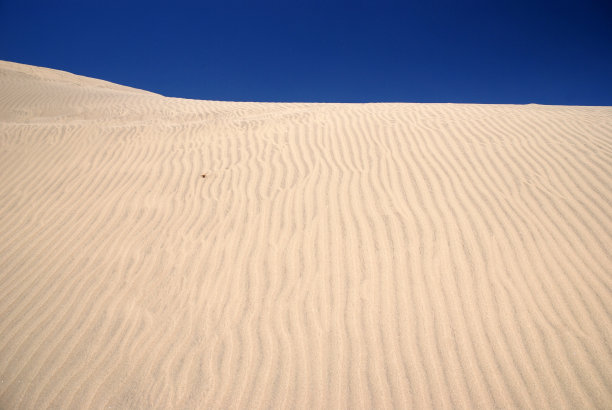 乳腺瘤的沙丘图片下载