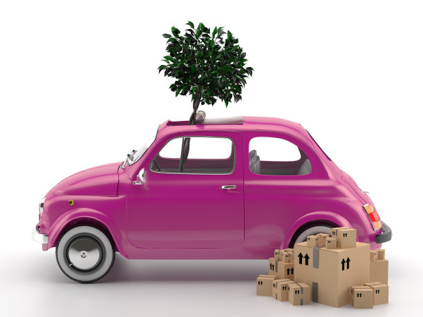 意大利维瓦 500 - 运输图片下载