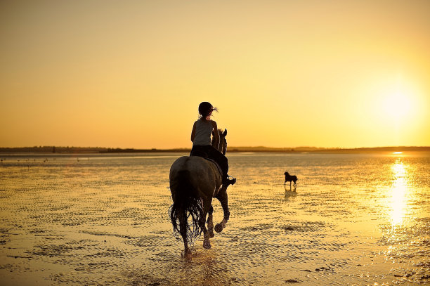 骑马奔向夕阳图片下载