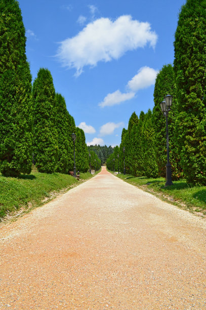 柏树巷图片下载