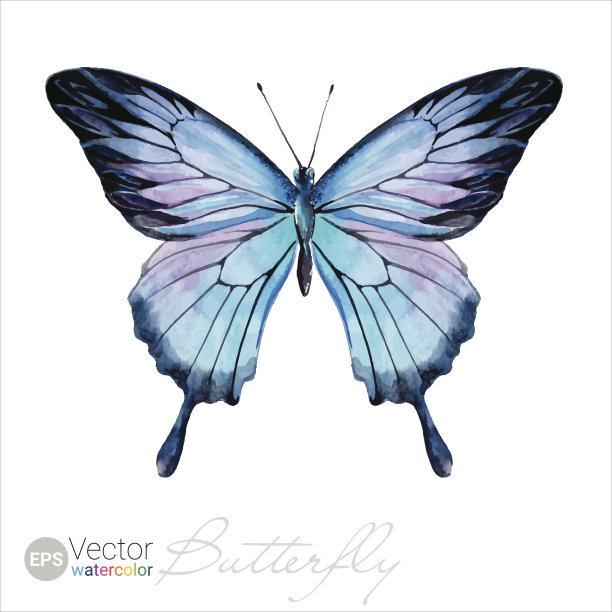 矢量水彩蝴蝶尤利西斯蝴蝶素材图片