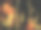 夜间火灾特写镜头图片下载