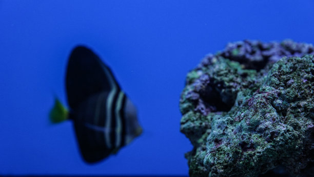 关注海相岩石图片下载