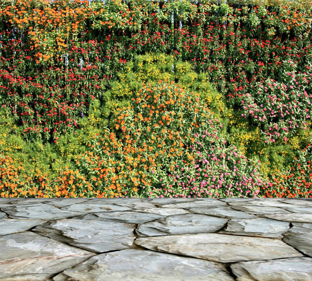 花和植物墙垂直花园图片下载