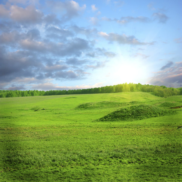 夏天山景观图片下载